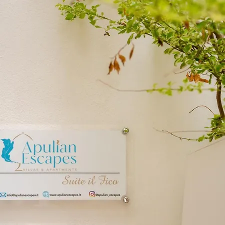 Apulian Escapes - Il Fico Polignano a Mare